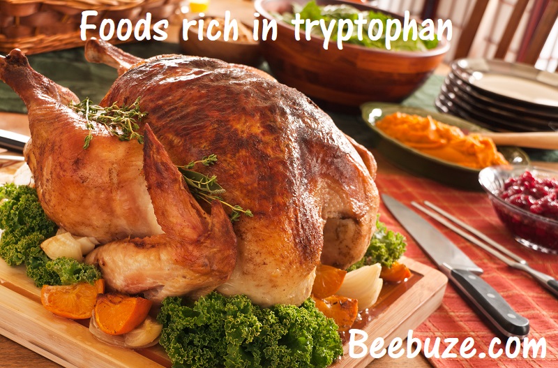 3 foods rich in tryptophan
