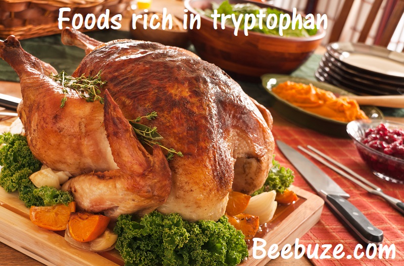 foods rich in tryptophan