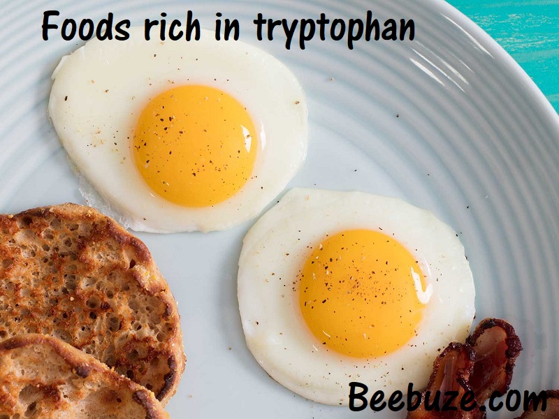 foods rich in tryptophan