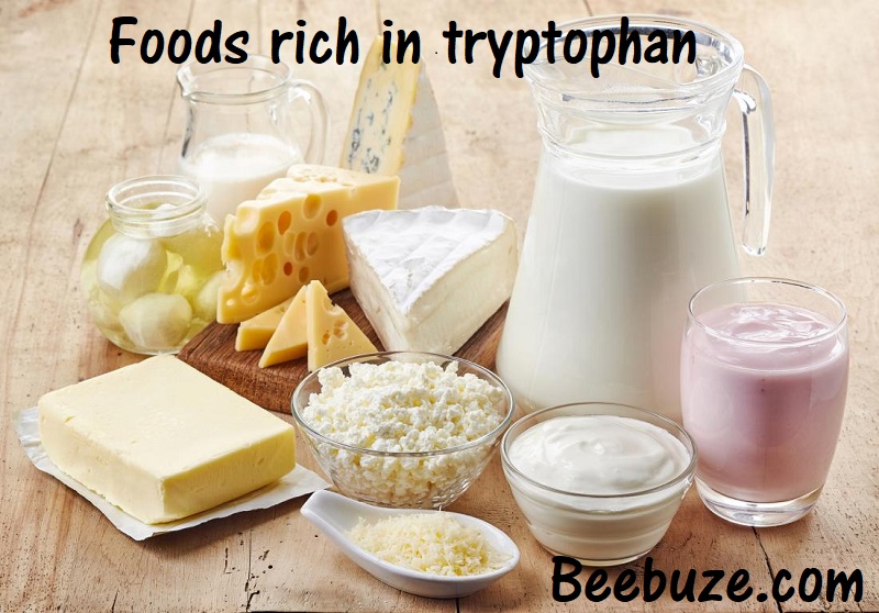 foods rich in tryptophan