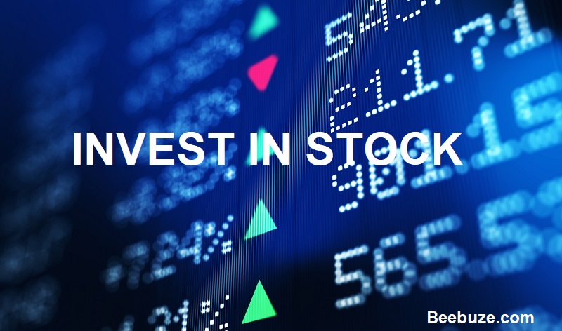 Investing in the Stock Market 