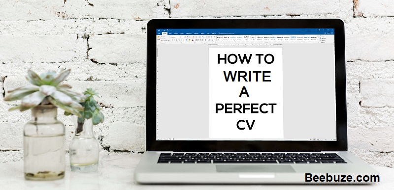 How to write a perfect CV for a dream job using these 5 tips