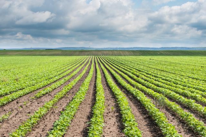 Equipment Investments for a Farm