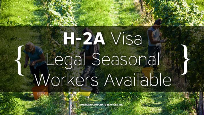 What Farmers Need To Know About H2A Visas