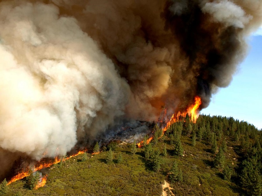 Three Ways to Prepare for a Wildfire