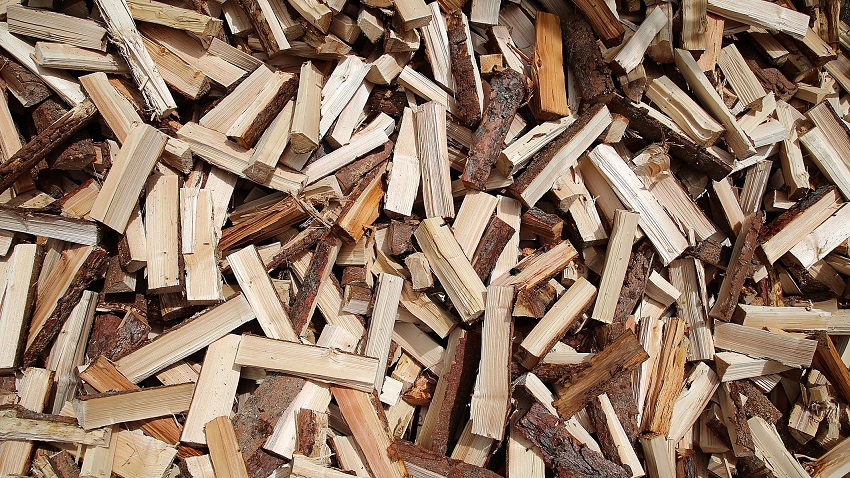 Oak Wood You Can Use For Smoking Meat