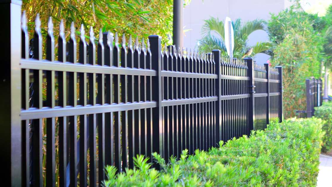 Astonishing Facts: Why Are Fences So Expensive?