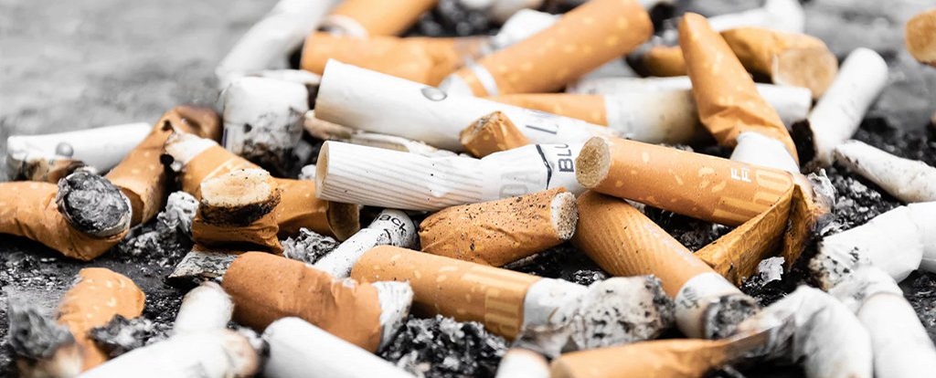 Why Cigarette Butts Are a Huge Environmental Problem You Might Not Be Aware Of