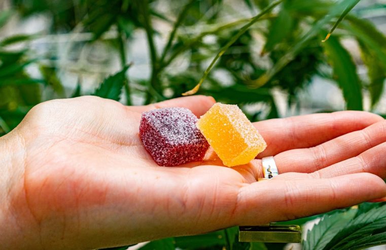 Delta 8 Gummies: What Beginners Should Know Before Consuming