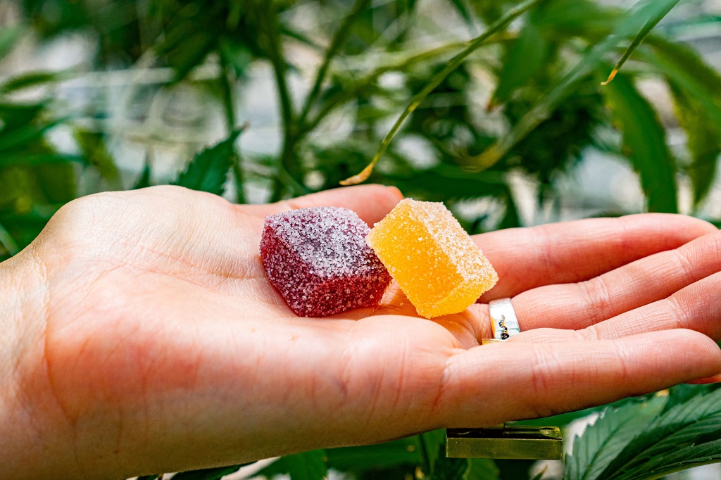 Delta 8 Gummies: What Beginners Should Know Before Consuming