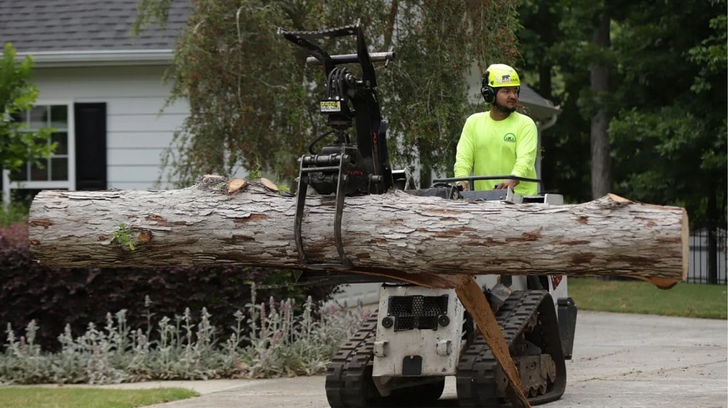 The Benefits of Professional Tree Removal – Why DIY Isn’t Always the Best Option