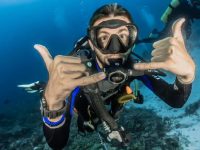scuba diving in the cayman islands