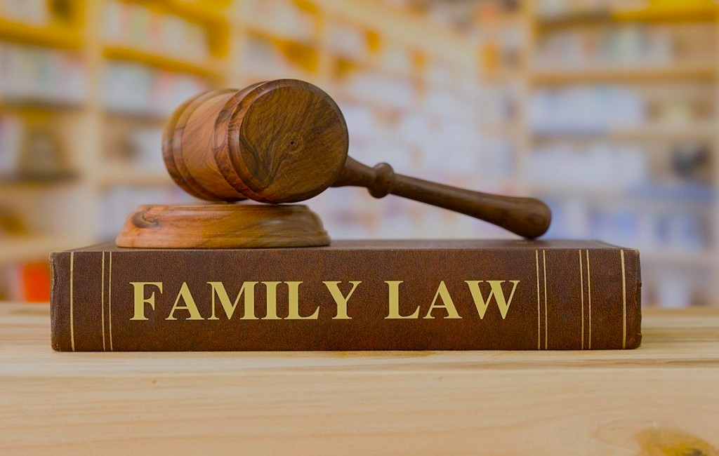 The Essential Guide to Family Law