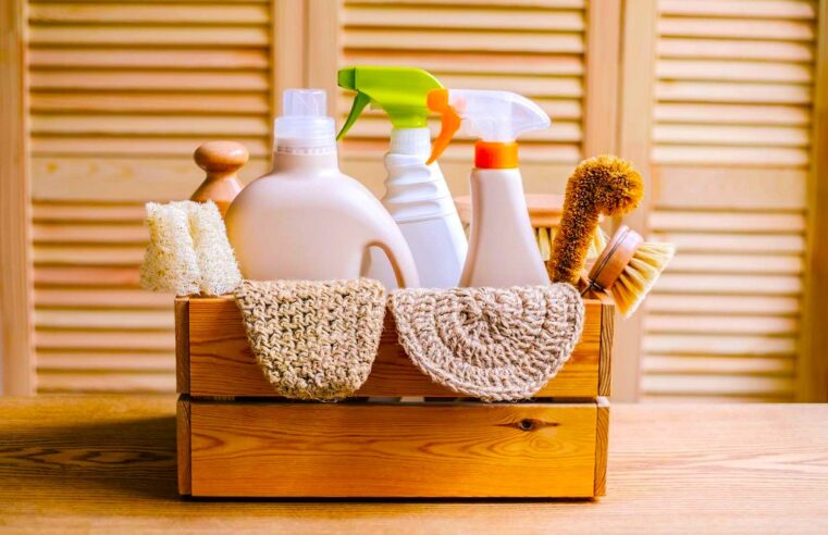 The Ultimate Guide to Choosing the Right Mold Care Products