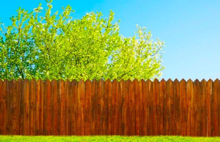 Top Reasons to Choose a Professional Fence Company for Your Project