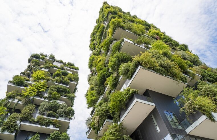 Sustainable Building Practices: The Future of Construction