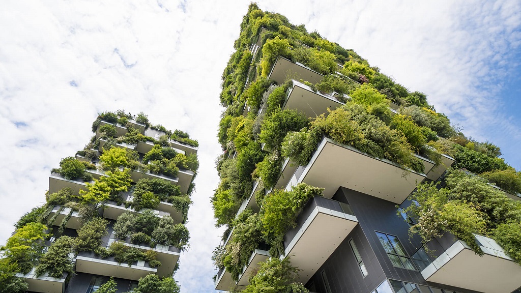 Sustainable Building Practices: The Future of Construction