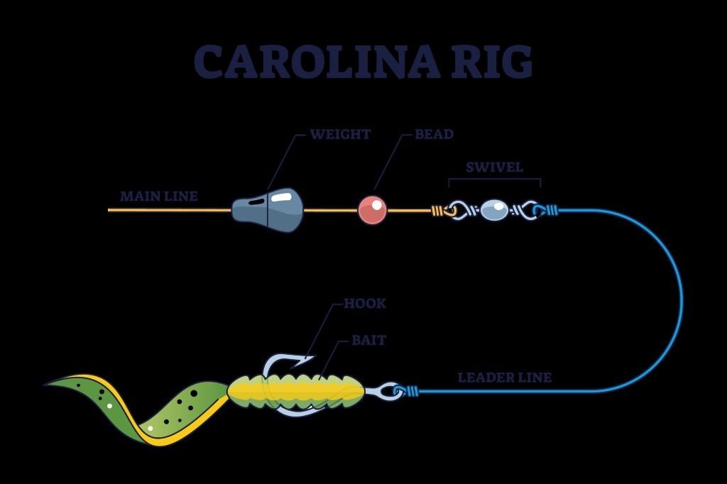 Close-up of Texas rig and Carolina rig setup for flat water fishing