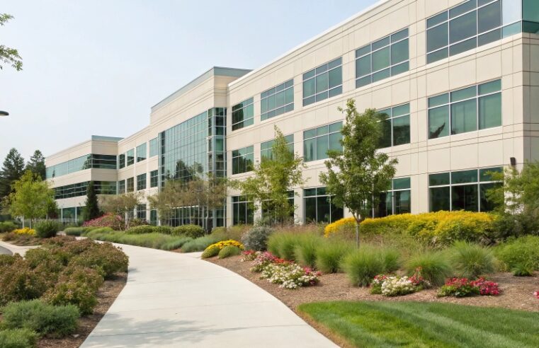 Why Commercial Properties Need Customized Pest Control Solutions