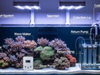reef aquarium equipment setup lighting filtration pumps