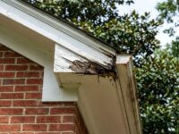 Rotten fascia board damaged by water in Atlanta home