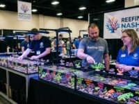 Colorful reef corals displayed at Reefing USA Nashville Coral Expo 2026 vendor tables